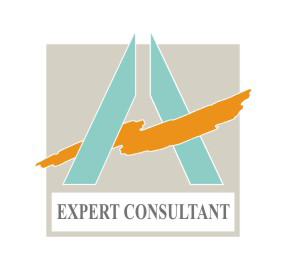 Logo Expert Consultant